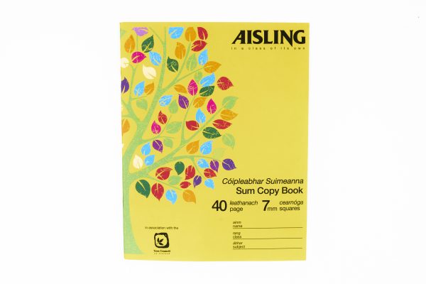 40 Page Sum Copy 7 MM Aisling