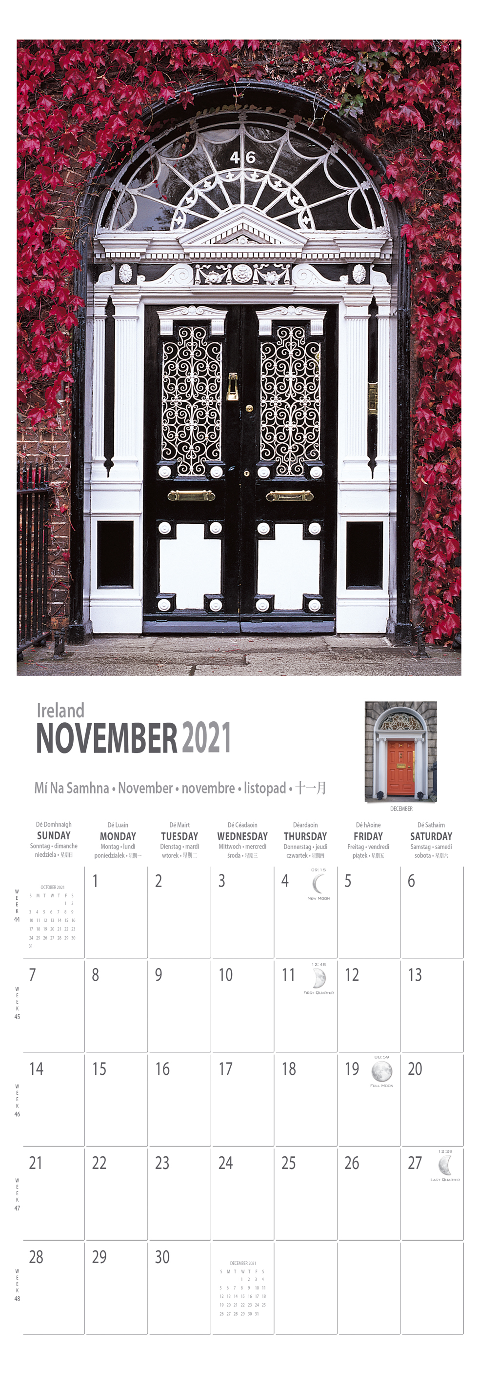 Doors of Dublin Calendar 2021 - Real Ireland - 21cm x 14 ...