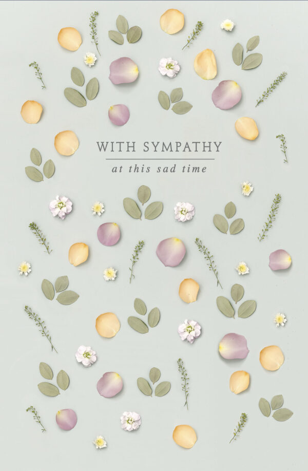 Sympathy - Gibson