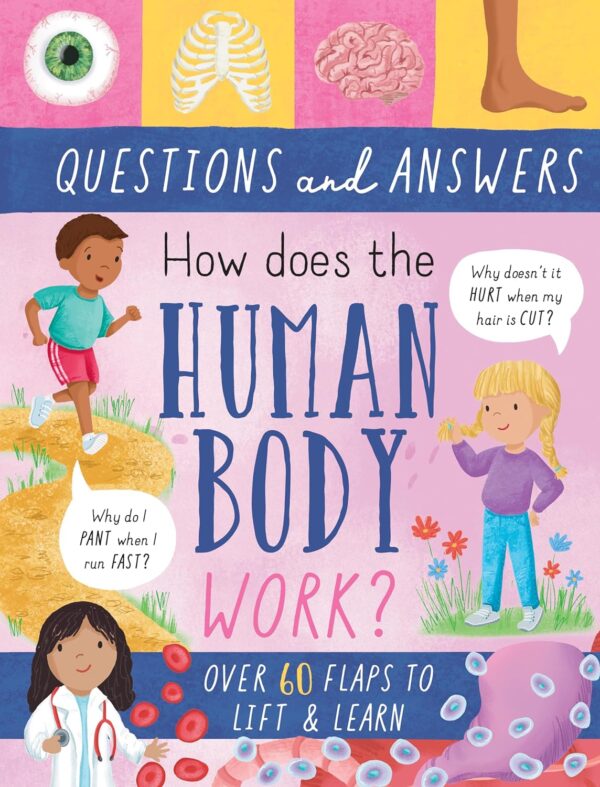 Large Question-And-Answer Flap Book - Human Body (Lift-The-Flap Questions & Answers Board Book)